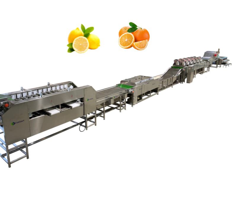 images/1649317021354lemon sorting line1.jpg